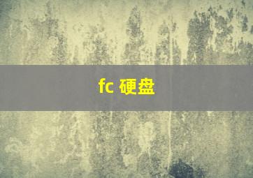 fc 硬盘